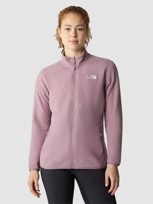 Худи и свитшоты The North Face 100 Glacier Full Zip модель NF0A855OI0V1 Фото