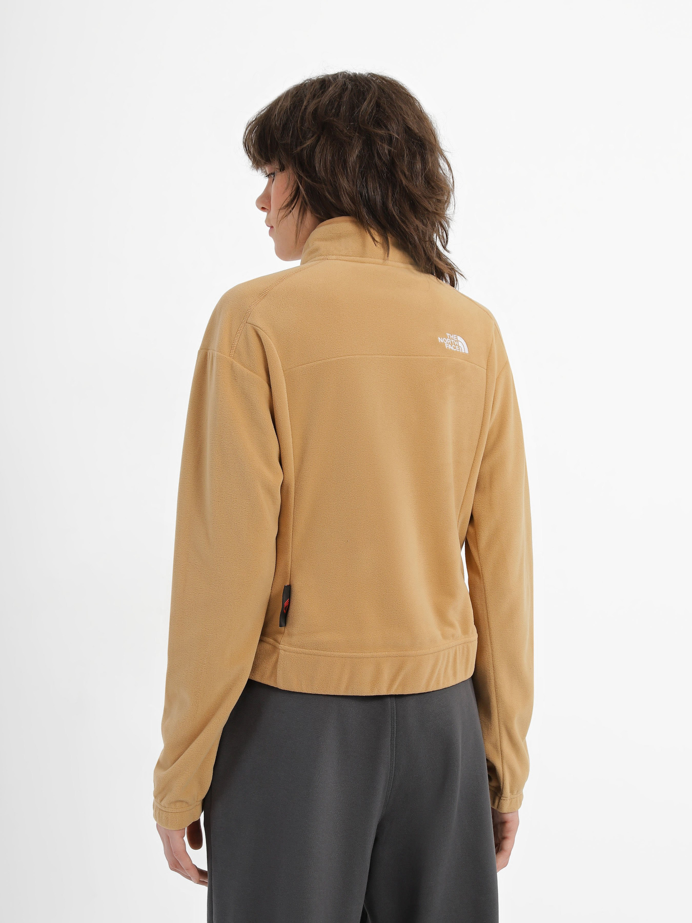 Худі та світшоти The North Face Homesafe Snap Neck Fleece модель NF0A8565I0J1 Фото