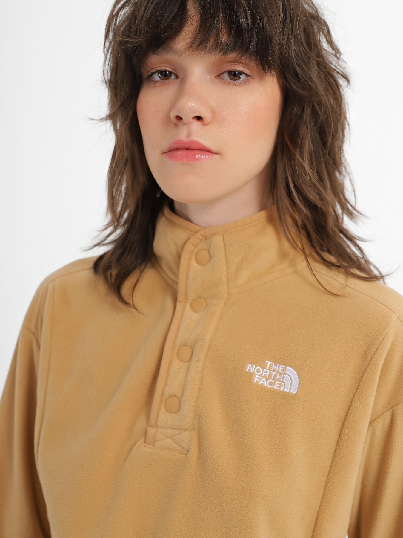 Худі та світшоти The North Face Homesafe Snap Neck Fleece модель NF0A8565I0J1 Фото