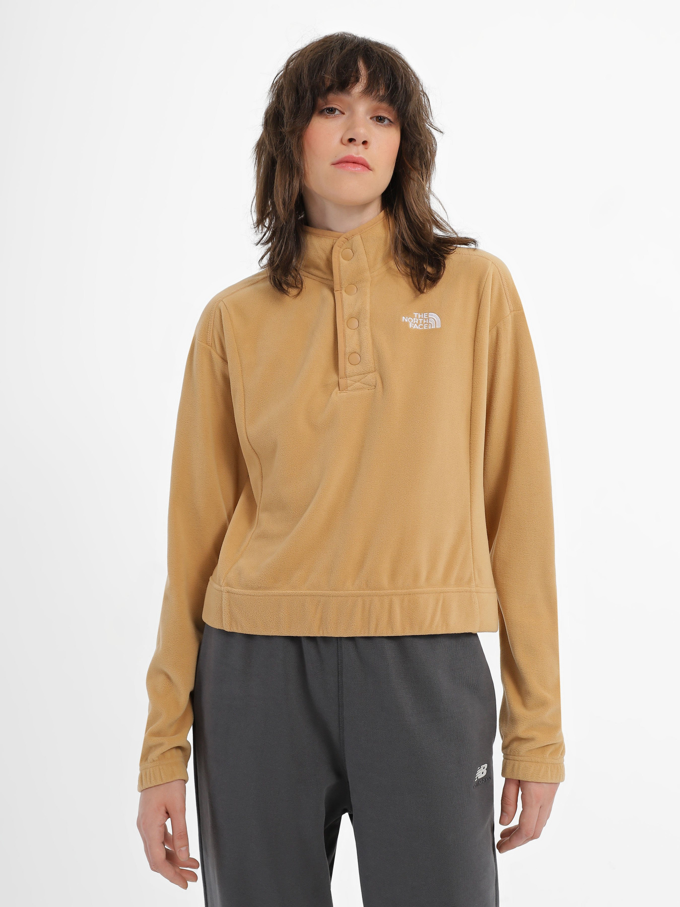 Худі та світшоти The North Face Homesafe Snap Neck Fleece модель NF0A8565I0J1 Фото