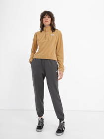 Худі та світшоти The North Face Homesafe Snap Neck Fleece модель NF0A8565I0J1 Фото