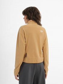 Худі та світшоти The North Face Homesafe Snap Neck Fleece модель NF0A8565I0J1 Фото