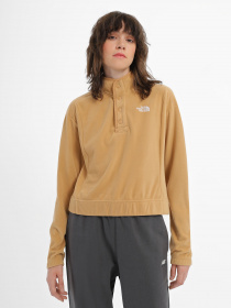 Худі та світшоти The North Face Homesafe Snap Neck Fleece модель NF0A8565I0J1 Фото