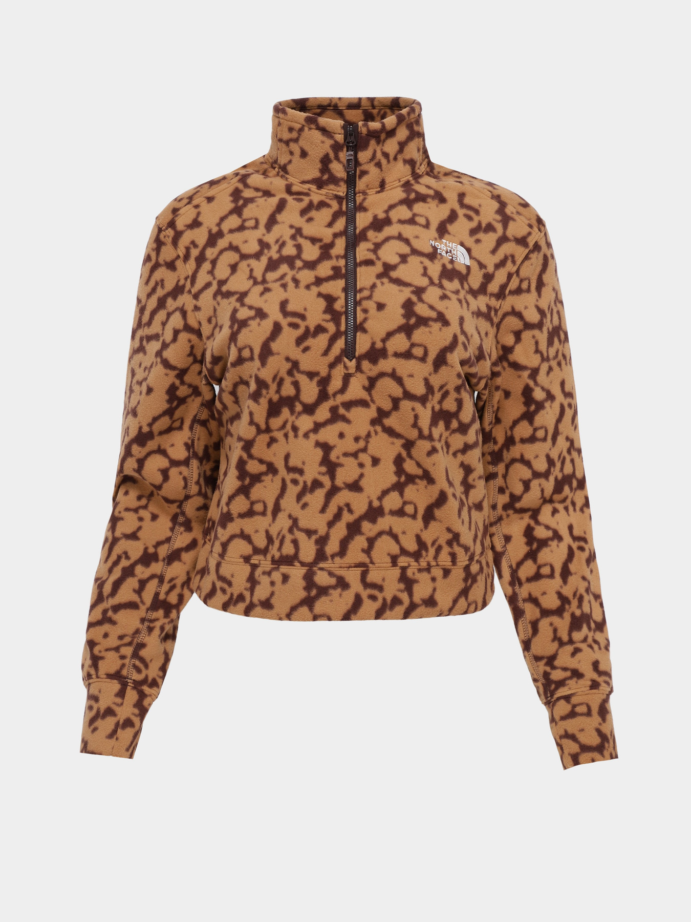 Худі та світшоти The North Face 100 Glacier Printed Half Zip модель NF0A8593OLW1 Фото