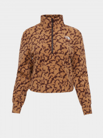 Худі та світшоти The North Face 100 Glacier Printed Half Zip модель NF0A8593OLW1 Фото