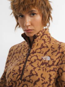 Худі та світшоти The North Face 100 Glacier Printed Half Zip модель NF0A8593OLW1 Фото