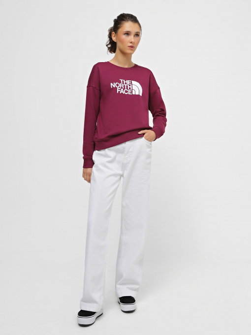 Худі та світшоти The North Face Drew Peak Crew модель NF0A3S4GI0H1 Фото