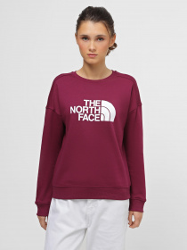 Худі та світшоти The North Face Drew Peak Crew модель NF0A3S4GI0H1 Фото