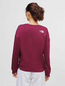 Худі та світшоти The North Face Drew Peak Crew модель NF0A3S4GI0H1 Фото