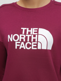 Худі та світшоти The North Face Drew Peak Crew модель NF0A3S4GI0H1 Фото