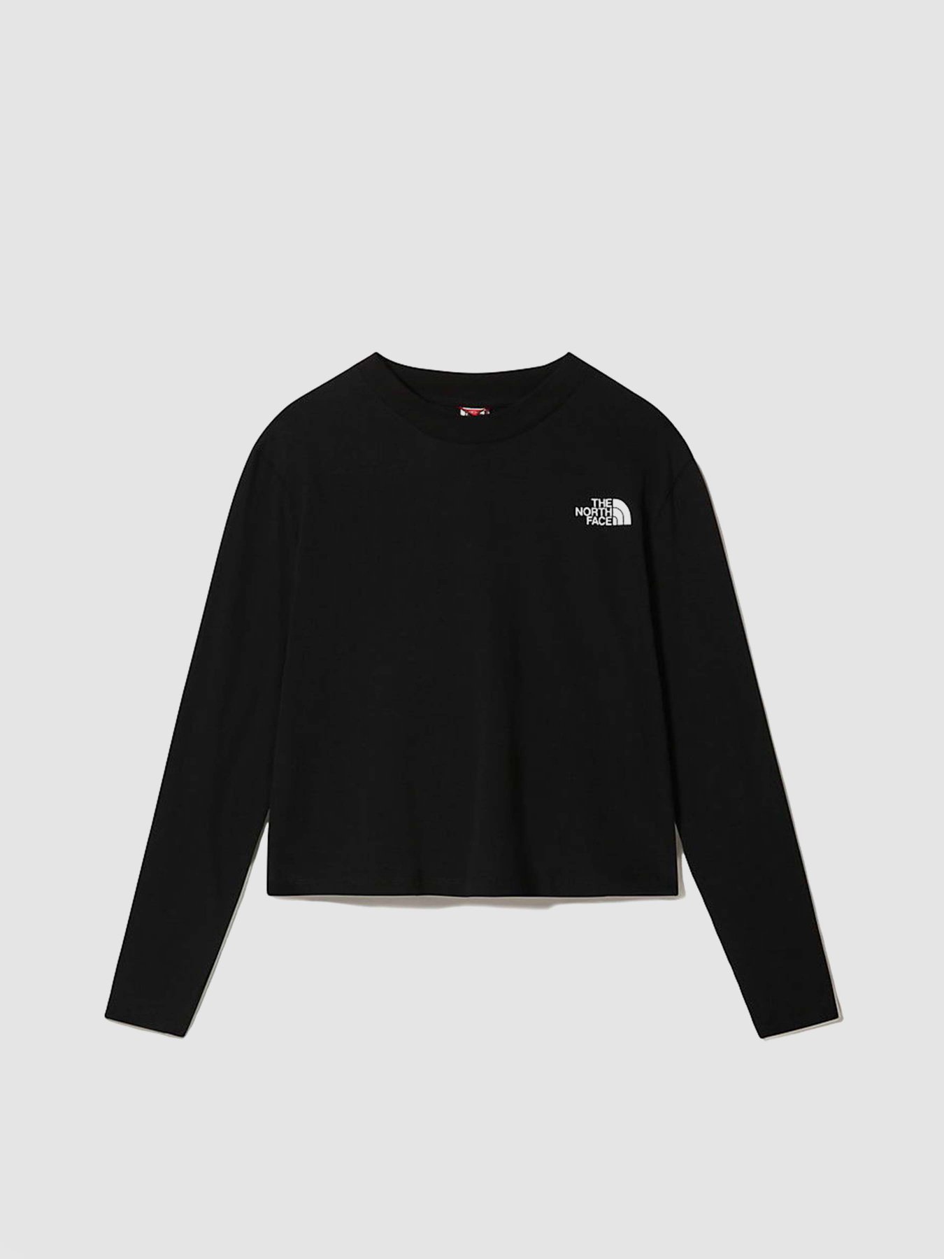 Худі та світшоти The North Face Longsleeve Crop Tee модель NF0A5581JK31 Худі та світшоти The North Face Longsleeve Crop Tee модель NF0A5581JK31 Фото