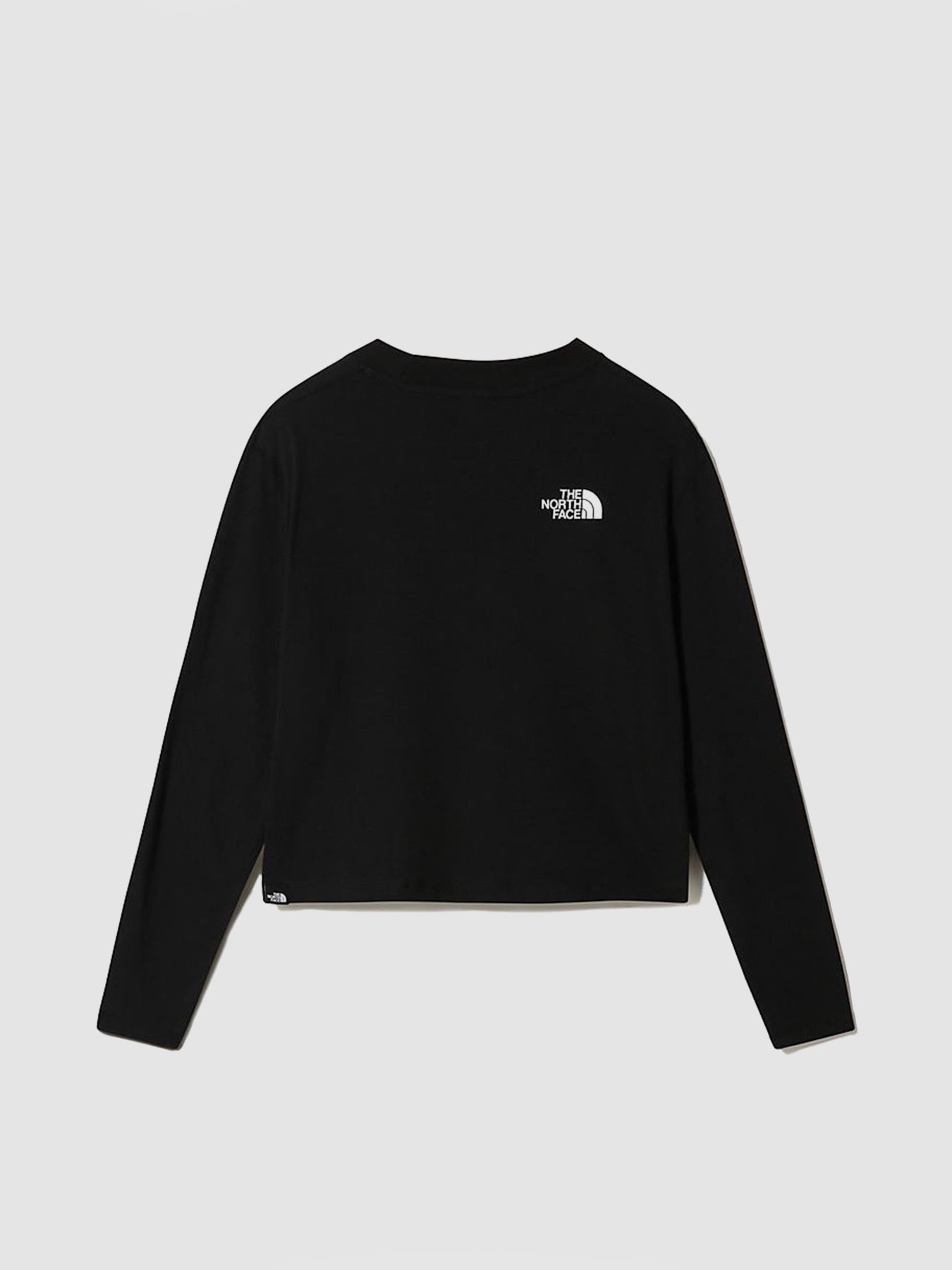 Худі та світшоти The North Face Longsleeve Crop Tee модель NF0A5581JK31 Худі та світшоти The North Face Longsleeve Crop Tee модель NF0A5581JK31 Фото