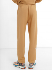 Штани The North Face Essential модель NF0A7ZJFI0J1 Фото