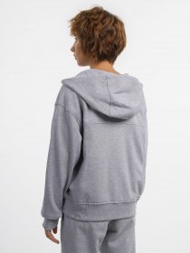 Худі та світшоти The North Face Essential FZ модель NF0A853VDYX1 Фото