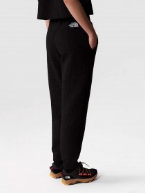 Штани The North Face W Mhysa Pant модель NF0A853YJK31 Фото