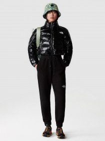 Штани The North Face W Mhysa Pant модель NF0A853YJK31 Фото