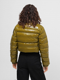 Куртки та дублянки The North Face Rusta 2.0 модель NF0A852LBEB1 Фото