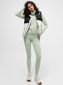 Куртки и дубленки The North Face Saikuru модель NF0A853OQ4C1 Фото