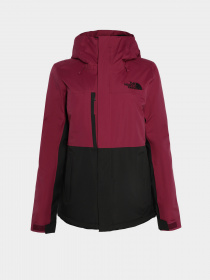 Куртки и дубленки The North Face Freedom модель NF0A7WYKI0H1 Фото