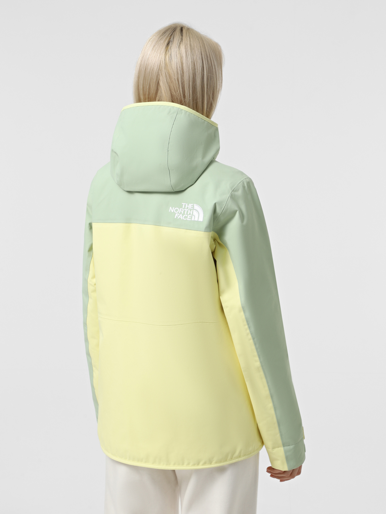 Куртки и дубленки The North Face Namak Insulated модель NF0A82VZKIJ1 Фото