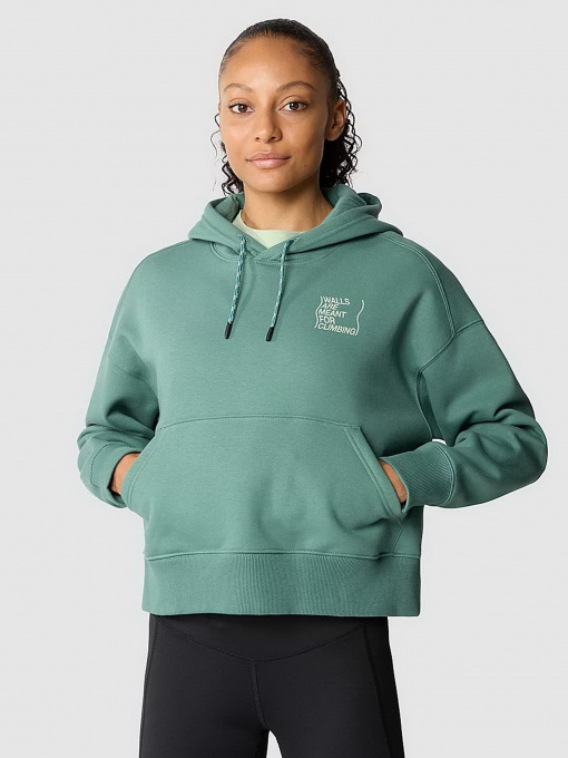 Худи и свитшоты The North Face Outdoor Graphic модель NF0A8525I0F1 Фото