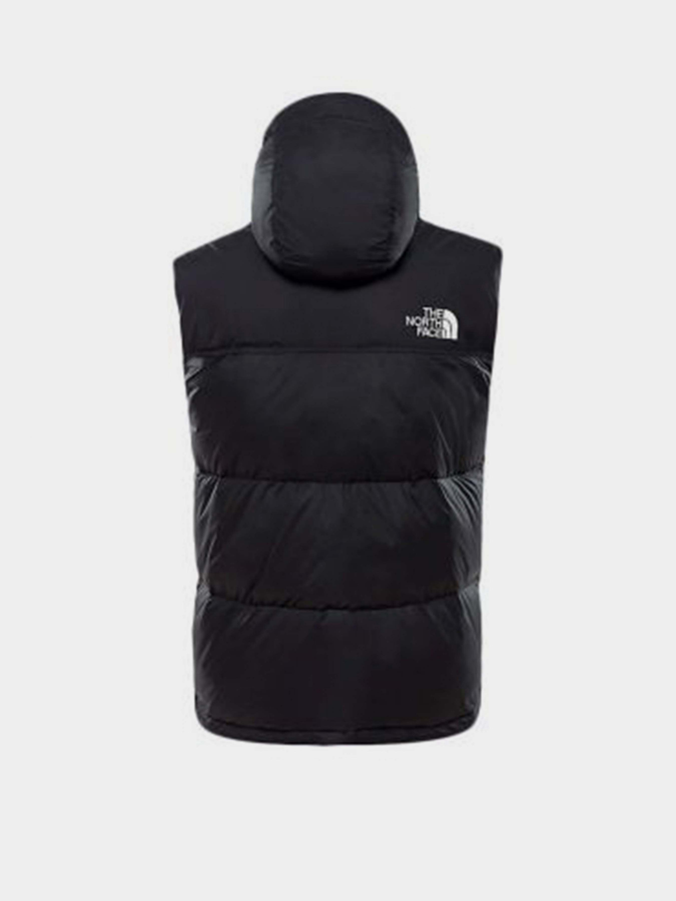 Куртки та дублянки The North Face 1996 Retro Nuptse модель NF0A3JQQLE41 Фото