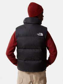 Куртки та дублянки The North Face 1996 Retro Nuptse модель NF0A3JQQLE41 Фото