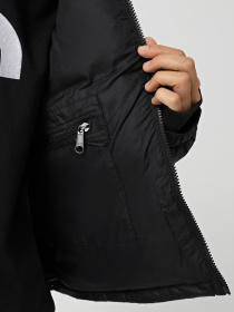 Куртки та дублянки The North Face 1996 RETRO NUPTSE модель NF0A3XEOLE41 Фото