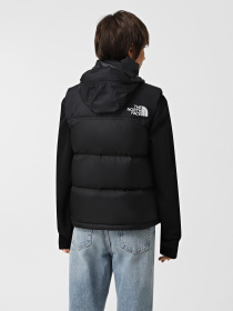 Куртки и дубленки The North Face 1996 Retro Nuptse модель NF0A3XEPLE41 Фото