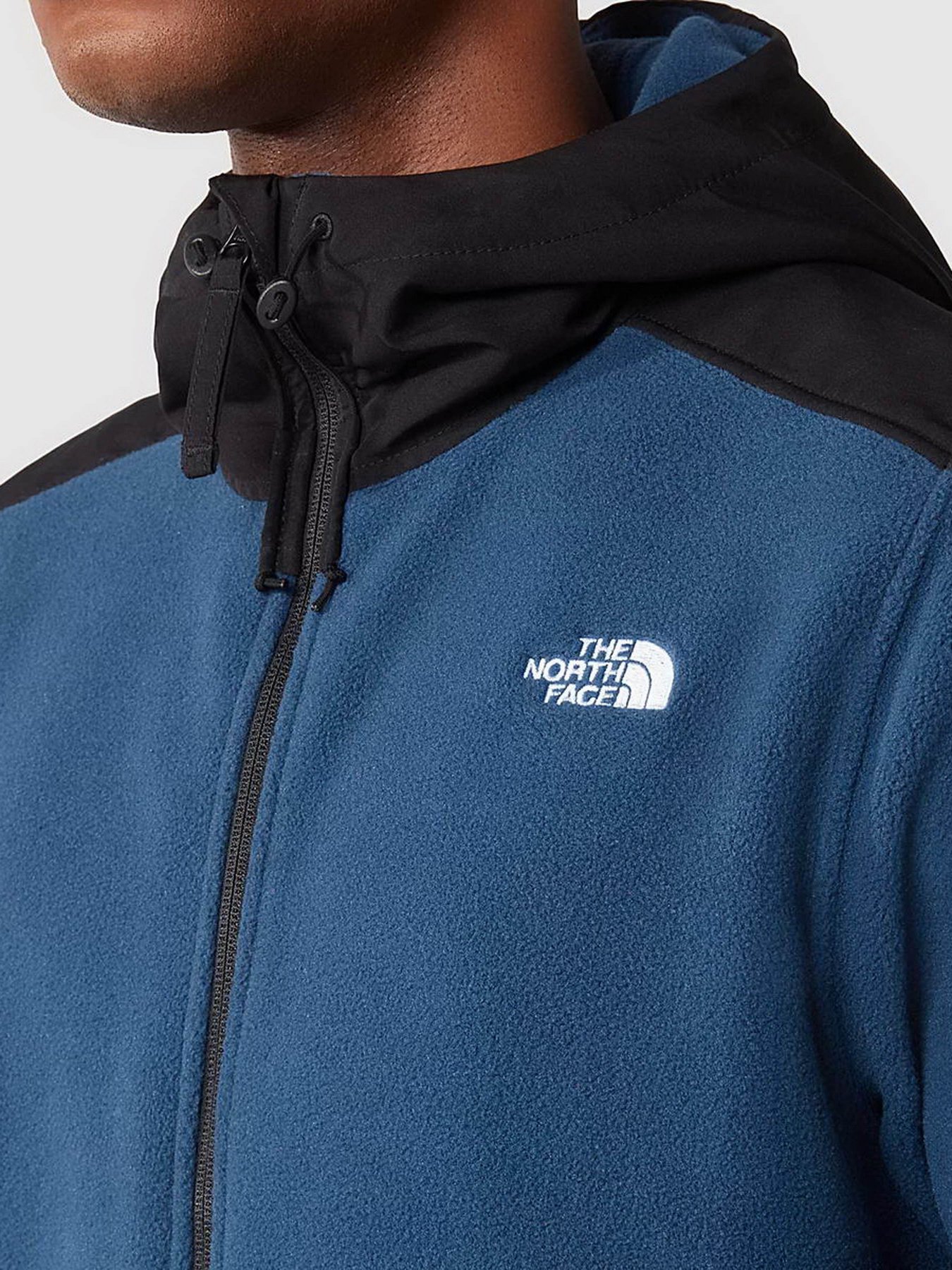 Худі та світшоти The North Face Alpine Polartec® 200 Full-Zip модель NF0A7UJ7MPF1 Фото