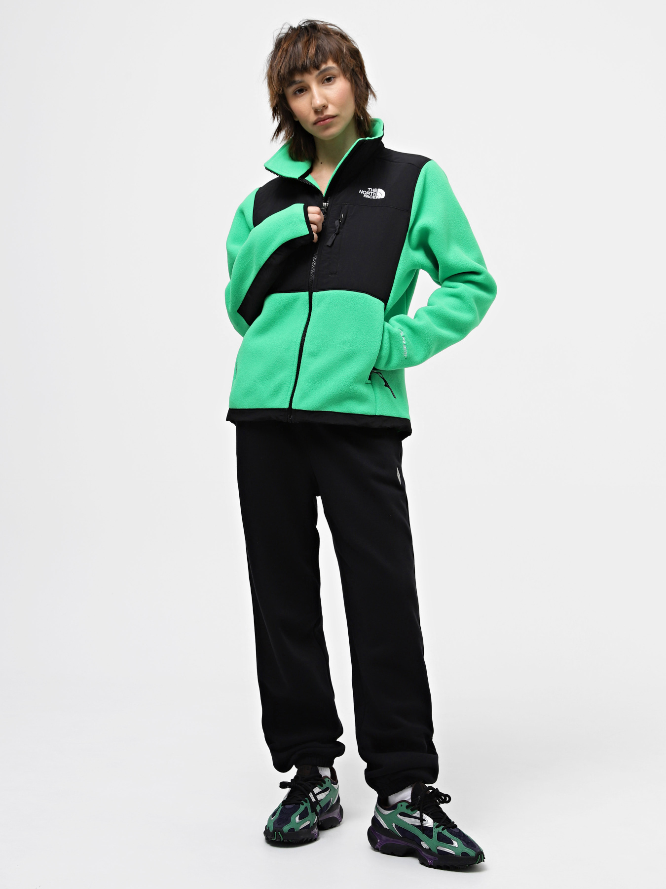 Худі та світшоти The North Face Denali модель NF0A7UR6PO81 Худі та світшоти The North Face Denali модель NF0A7UR6PO81 Фото
