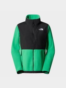 Худі та світшоти The North Face Denali модель NF0A7UR6PO81 Фото