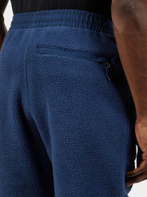 Штани The North Face Ripstop Denali модель NF0A86ZV8K21 Фото