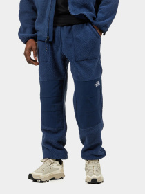 Штани The North Face Ripstop Denali модель NF0A86ZV8K21 Фото