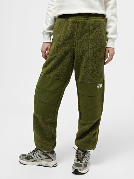 Штани The North Face W Ripstop Denali Pant модель NF0A870TPIB1 Фото