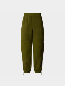 Штани The North Face W Ripstop Denali Pant модель NF0A870TPIB1 Фото