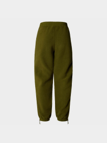 Штани The North Face W Ripstop Denali Pant модель NF0A870TPIB1 Фото