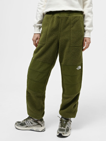 Штани The North Face W Ripstop Denali Pant модель NF0A870TPIB1 Фото