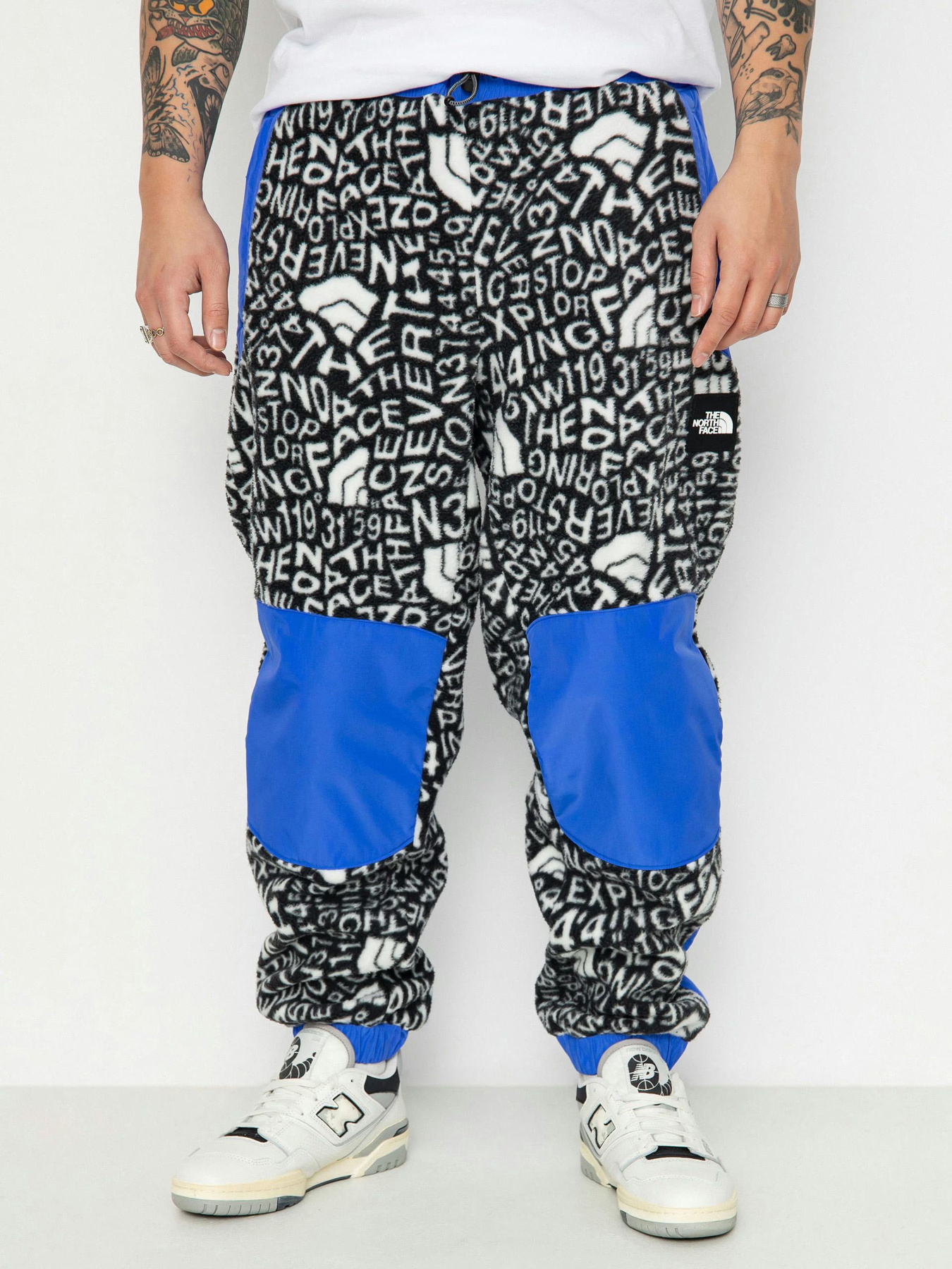 Штани The North Face M Fleeski Y2K модель NF0A887JU2O1 Штани The North Face M Fleeski Y2K модель NF0A887JU2O1 Фото