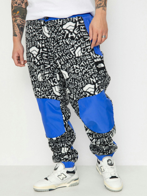 Штани The North Face M Fleeski Y2K модель NF0A887JU2O1 Фото