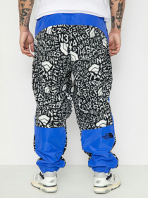 Штани The North Face M Fleeski Y2K модель NF0A887JU2O1 Фото