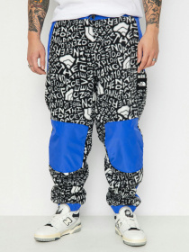 Штани The North Face M Fleeski Y2K модель NF0A887JU2O1 Фото