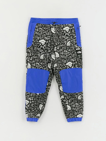 Штани The North Face M Fleeski Y2K модель NF0A887JU2O1 Фото