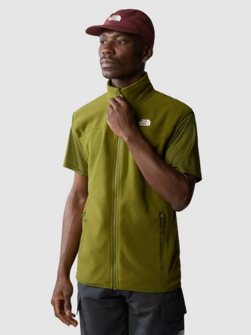 Куртки и дубленки The North Face M 100 Glacier Vest - Eu модель NF0A7SSLPIB1 Фото