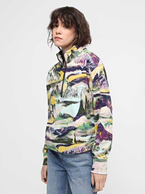 Худи и свитшоты The North Face W 100 Glacier Printed Half Zip модель NF0A8593RZI1 Фото