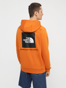Худи и свитшоты The North Face M Raglan Redbox Hoodie - Eu модель NF0A2ZWUPCO1 Фото