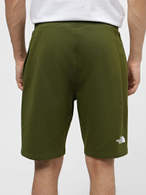 Шорти The North Face M Standard Short Light-Eu модель NF0A3S4EPIB1 Фото