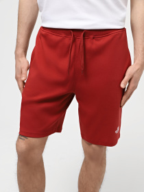 Шорты The North Face M Graphic Short Light-Eu модель NF0A3S4FPOJ1 Фото