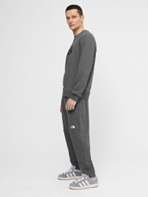 Штани The North Face M Nse Light Pant модель NF0A4T1FDYY1 Фото