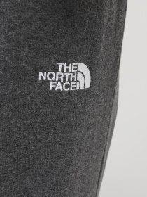 Штани The North Face M Nse Light Pant модель NF0A4T1FDYY1 Фото